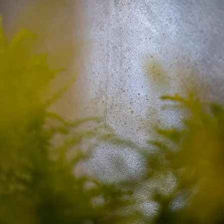 Heide アパート Česká Kamenice